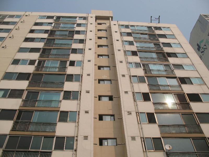 사진 309