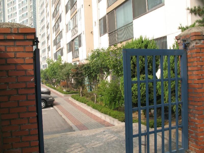 사진 305