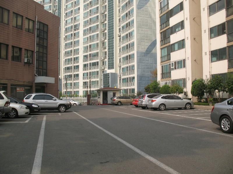 사진 308