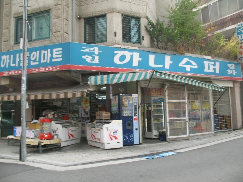사진 310