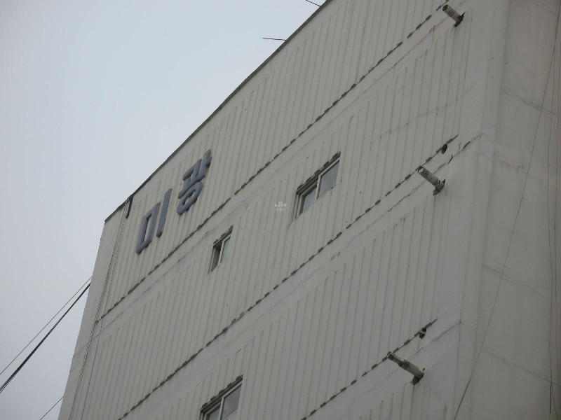 사진 182