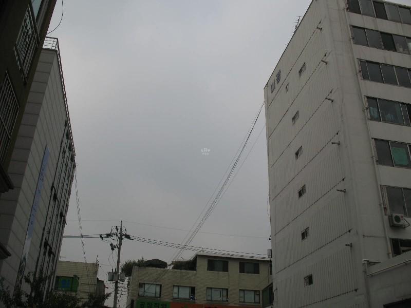 사진 183