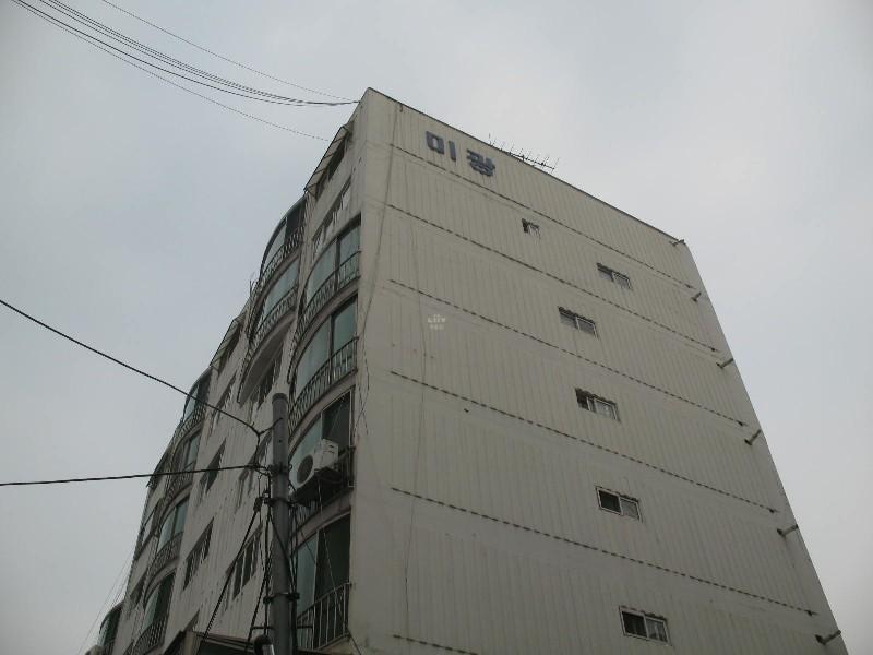 사진 185