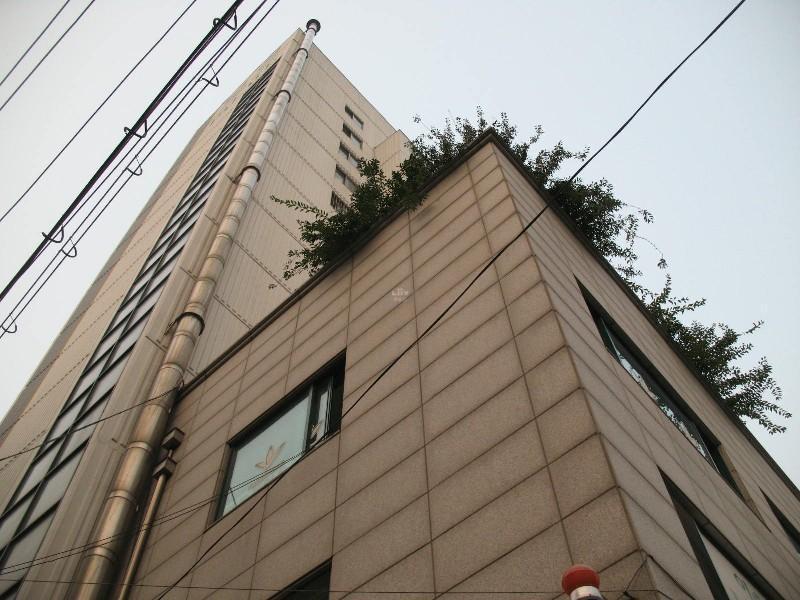 사진 893