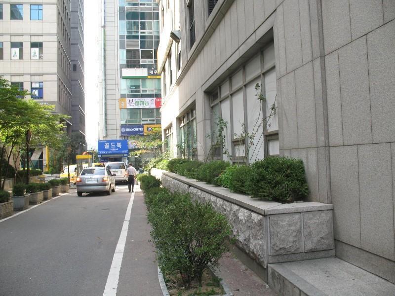 사진 240