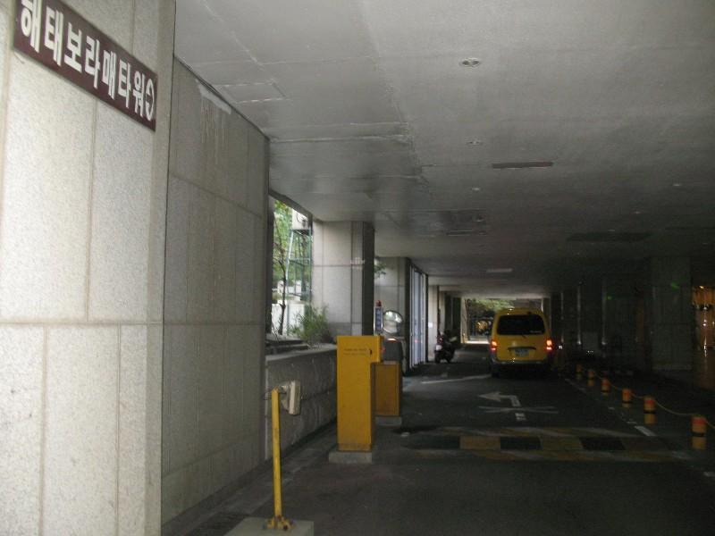 사진 237