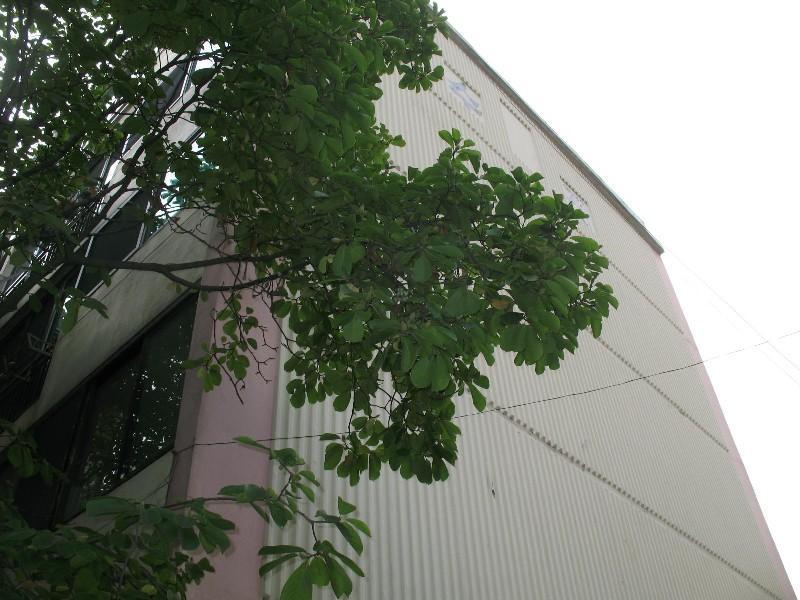사진 445