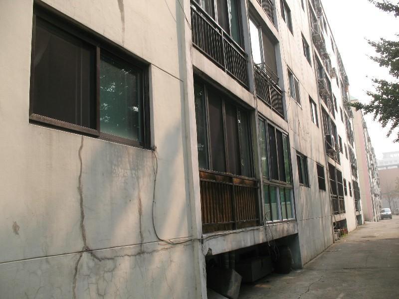 사진 453