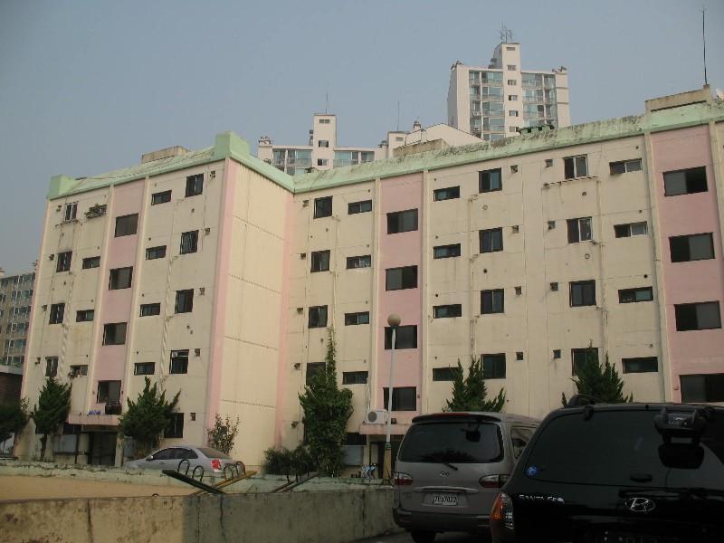 사진 455