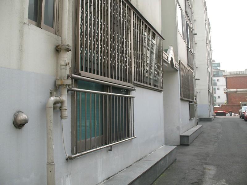 사진 482