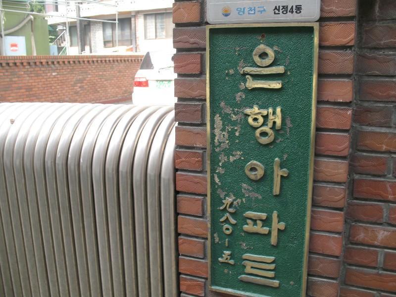 사진 491