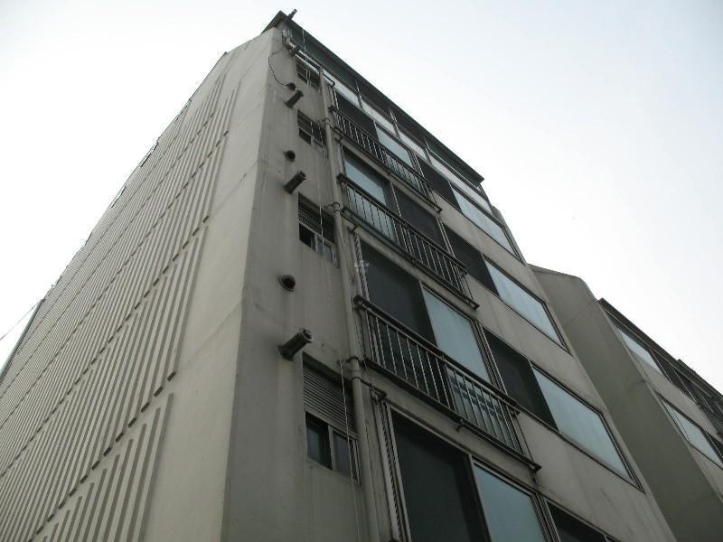 사진 483