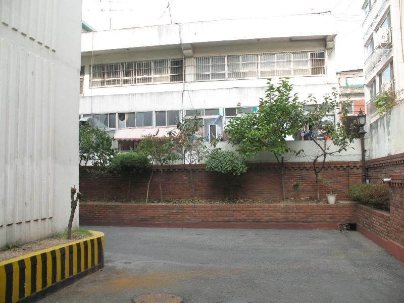 사진 481