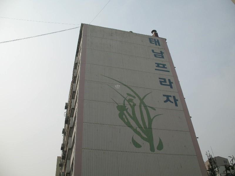 사진 554