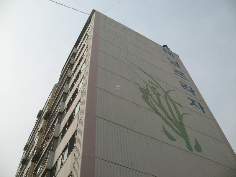 사진 558