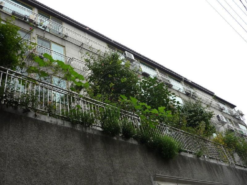 P1000210