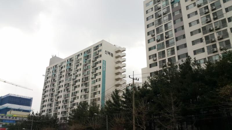 외부에서 바라본 신트리1단지 103, 104동 전경 입니다