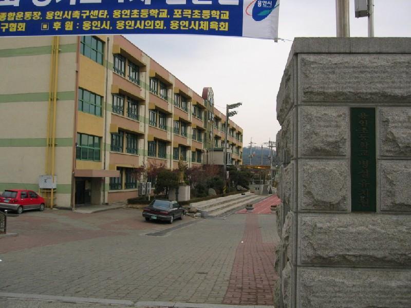 용인 초