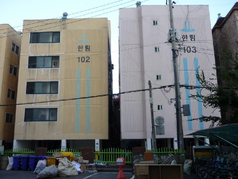 P1010522