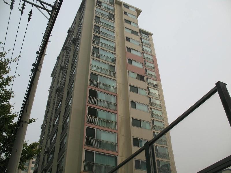 사진 188