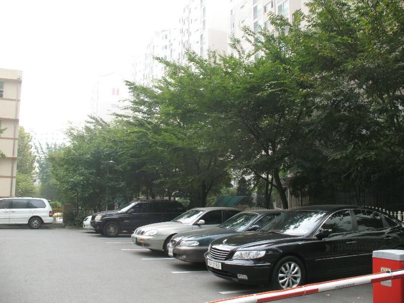 사진 187