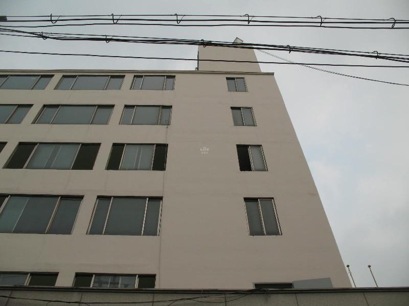 사진 438