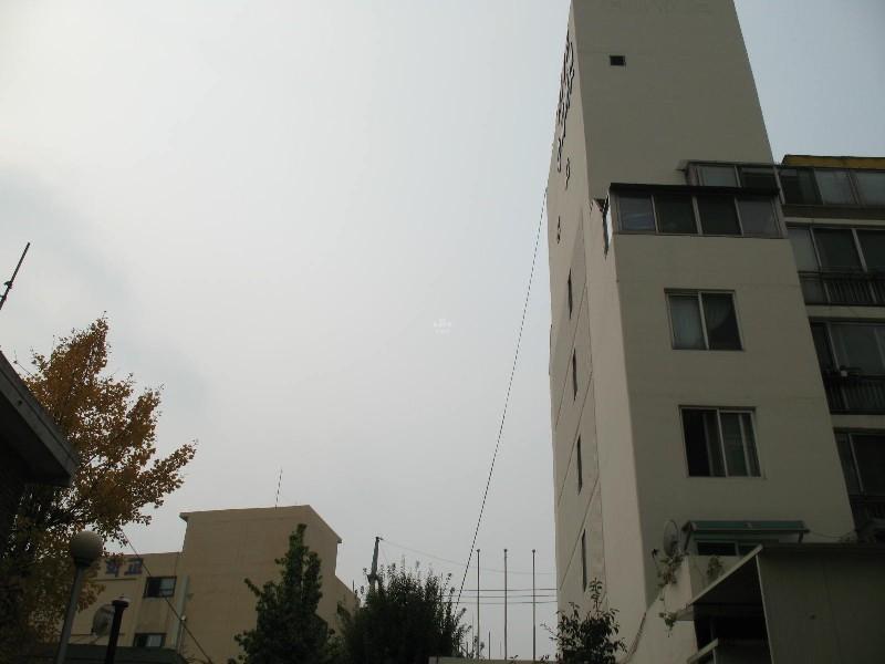 사진 446