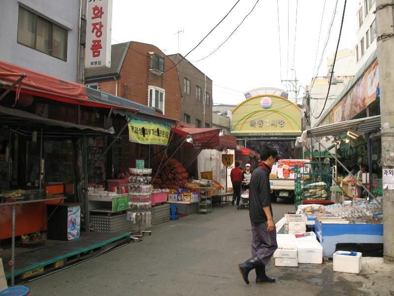사진 442