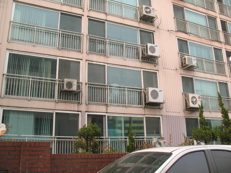 사진 799