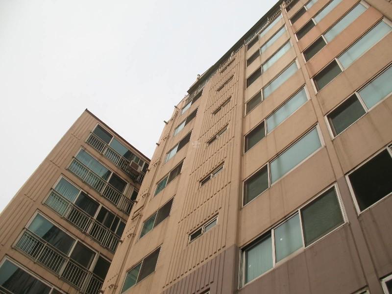 사진 806