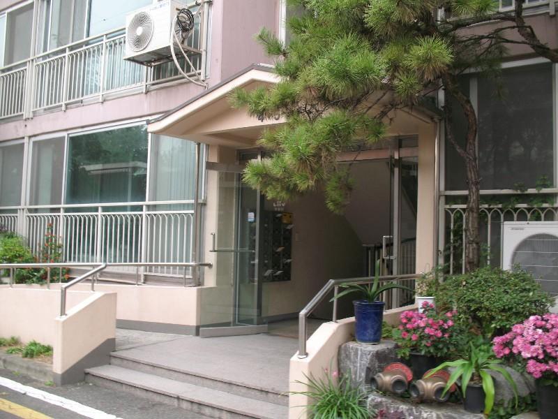 사진 808