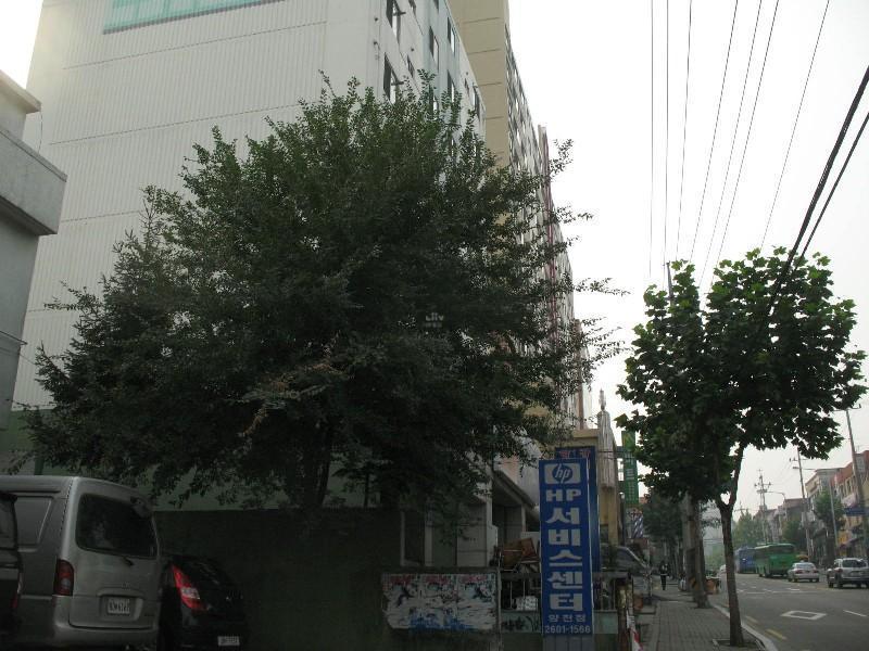 사진 568