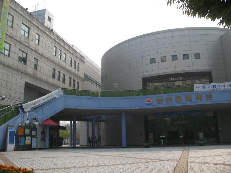 사진 331