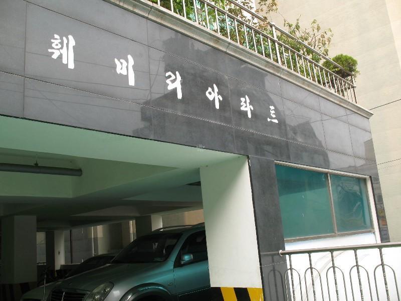 사진 609