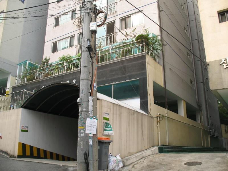 사진 617