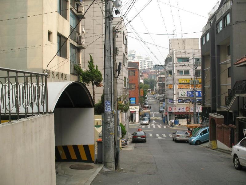 사진 612