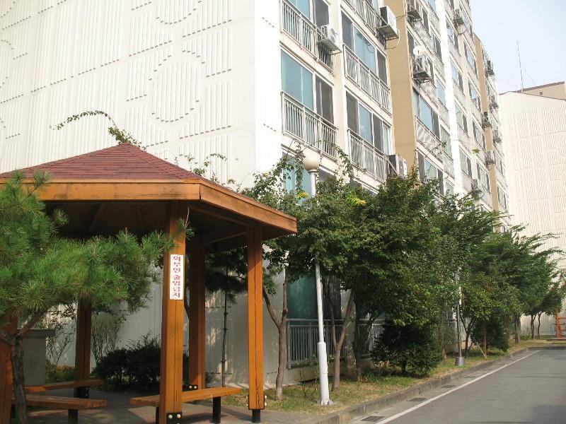 사진 250