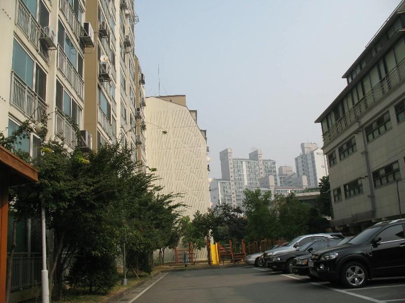 사진 251