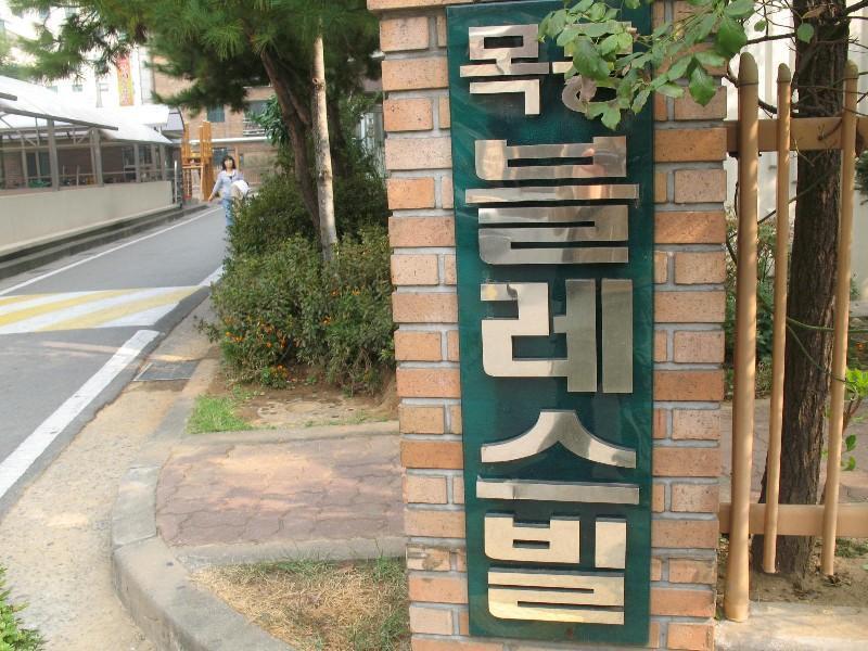 사진 253