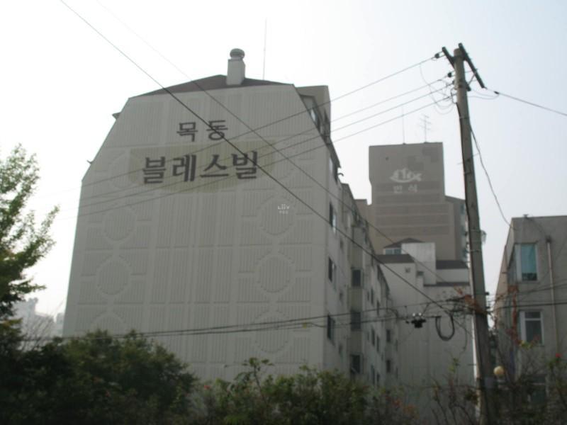사진 246