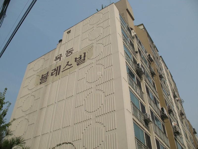 사진 252