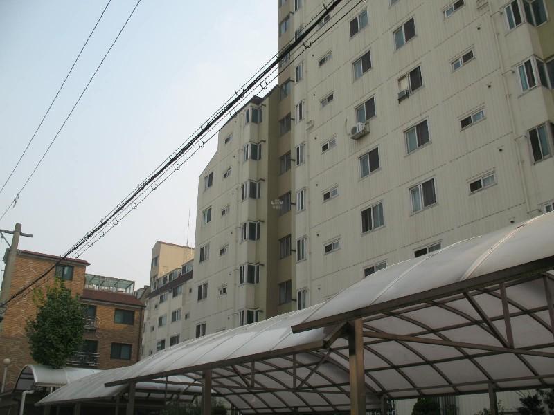 사진 255