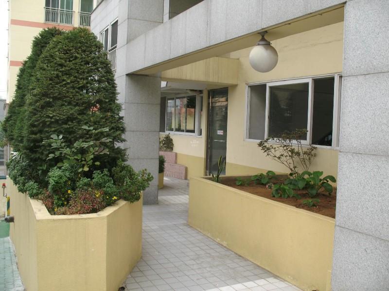 사진 429