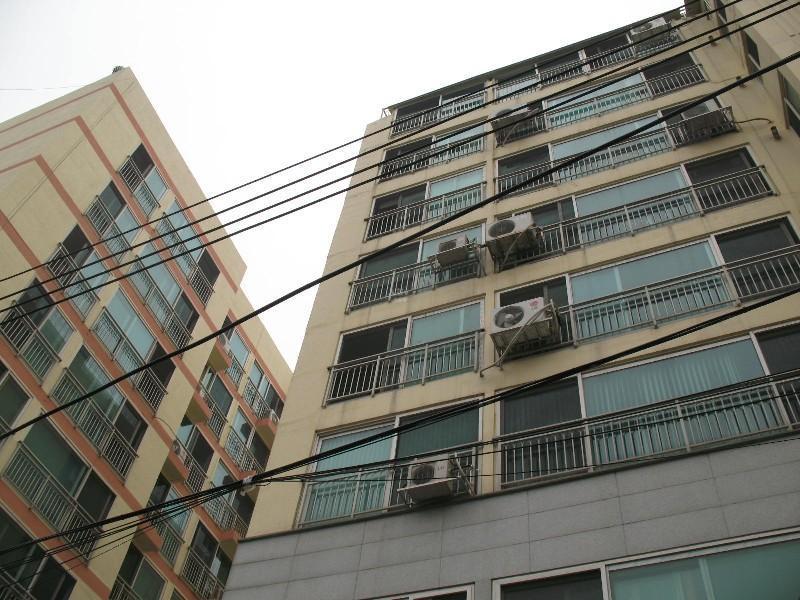 사진 427