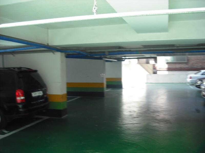 DSCF0264