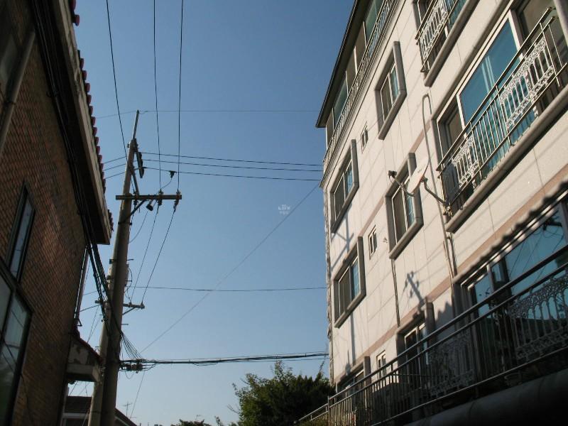 사진 379