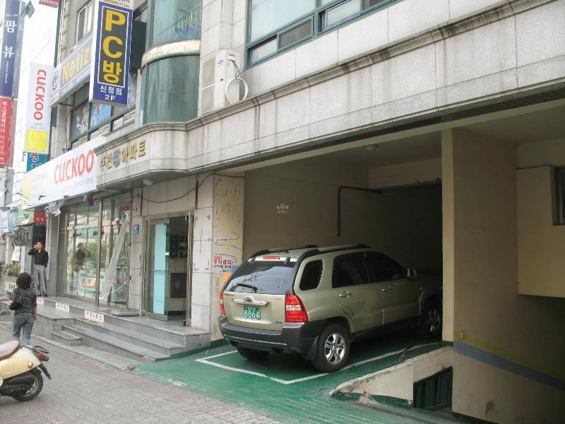 사진 535