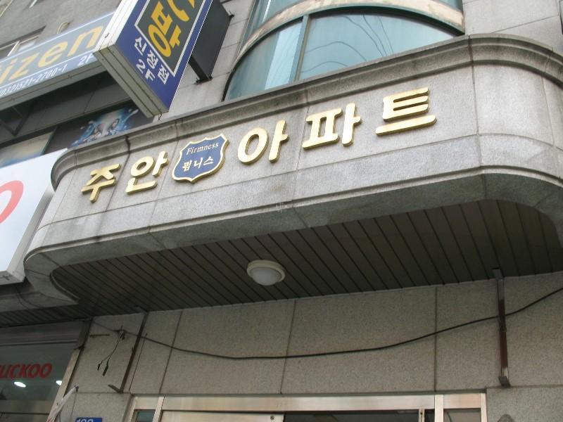 사진 531