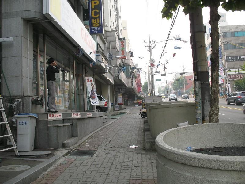 사진 541