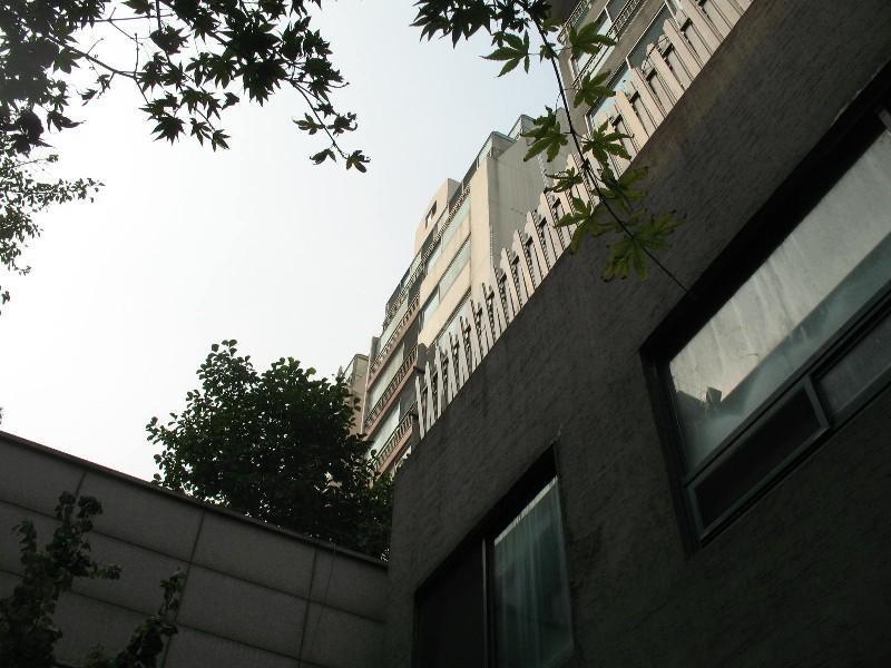 사진 543